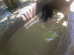 -100蛋泥浆浴