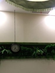 -芳朵美容养生SPA