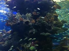 -多彩贵州城极地海洋世界