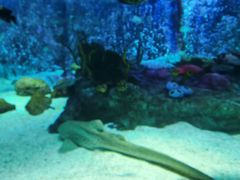 -沈阳海洋探索中心