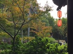 -梅园