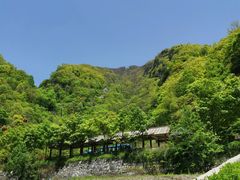 -牛背梁国家森林公园