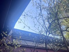 -钱王祠