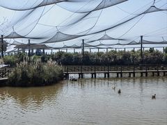 -鄱阳湖国家湿地公园
