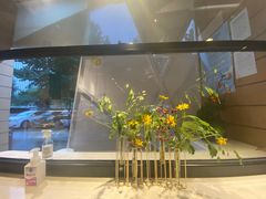 -双风车咖啡馆 Twin Windmills(六道口店)