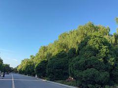 -北陵公园