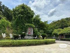 -广州白江湖森林公园