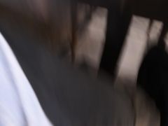 -古乐牛香·鲜牛肉牛杂火锅(五一中路店)