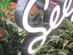 -Seesaw Coffee(朝阳大悦城店)