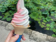 -韶山毛泽东同志故居