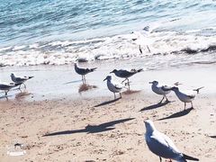 -老虎石海上公园