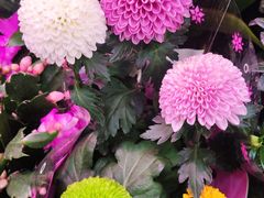 -三旗百汇商品城