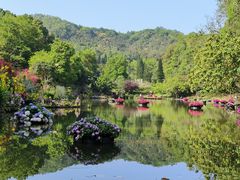 -深圳仙湖植物园