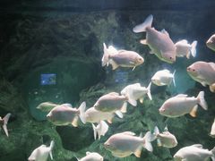 -常州海昌海洋探索馆