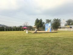 -长洲岛都市农业公园