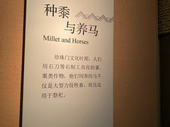 -烟台市博物馆