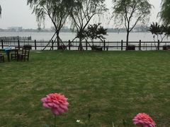 -鹅湖玫瑰文化园