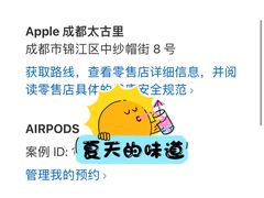 -Apple零售店(成都太古里店)