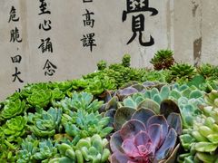 -寂照庵