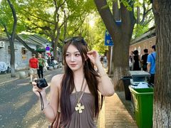 -北京国子监胡同