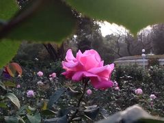 -人民公园(罗湖区)