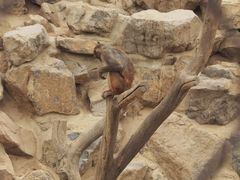 -太原动物园