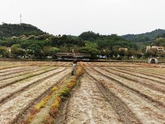 -红山村