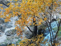 -天津盘山风景名胜区