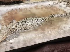 -上海大自然野生昆虫馆
