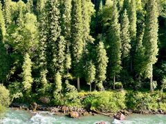 -新疆那拉提国家旅游度假区