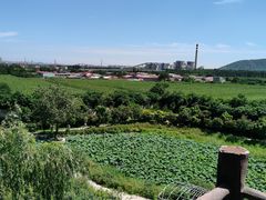 -石家庄市动物园