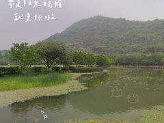 -八卦田遗址公园
