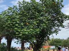 -白沙门生态公园