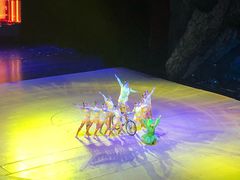 -重庆国际马戏城