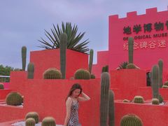 纪念碑谷门口-漳州滨海火山岛自然生态风景区