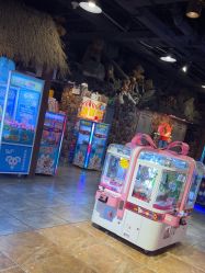 -卡通尼·Safari非洲探索乐园·生日会(金桥国际商业广场店)