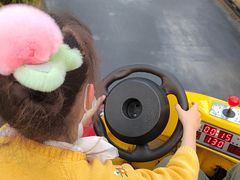 -南宫五洲植物乐园