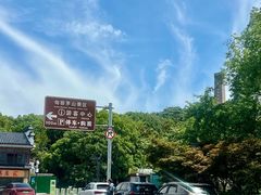 -句容茅山景区