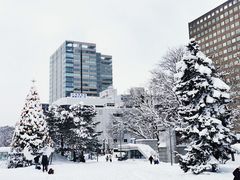 -札幌电视塔