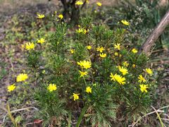-昆山城市生态森林公园