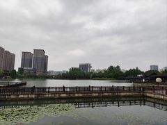 -洋湖国家湿地公园