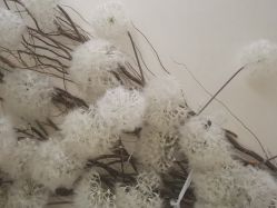 -YESIDO椰岛美容