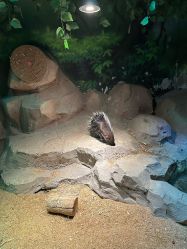 -酷嗒动物文化乐园(cutezoo西溪乐天城店)