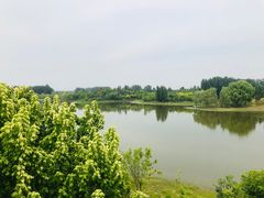 -东郊湿地公园