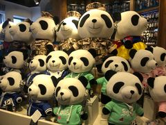 -熊猫屋(宽窄巷子景区店)