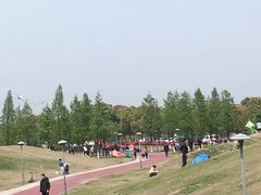 -滆湖低碳生态公园