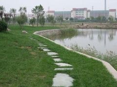 -南开大学滨海学院