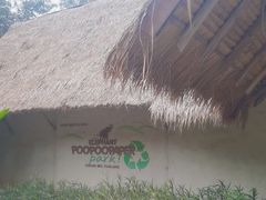 -大象粑粑造纸公园