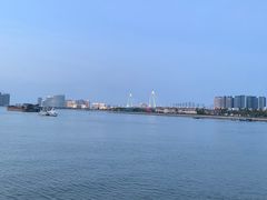 -万绿园