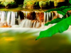 -视禾摄影培训(越秀区分部)